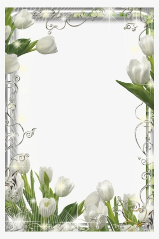 35 Frames Png Flores E Cores - Jasmine