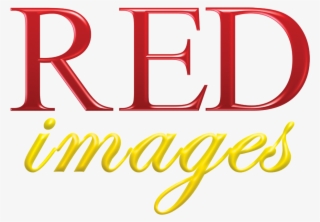 Products & Services Metro Manila's Top Choice Digital - Red Images Logo