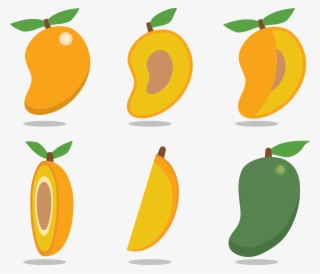 Mango Fruit Vector Free Download - Half Mango Clipart