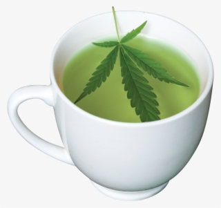 When/how To Drink Cbd Tea - Buddha Cbd Tea Png
