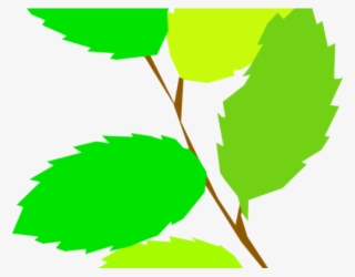 Green Leaves Clipart 5 Leave - Plant With 5 Leaves Clipart