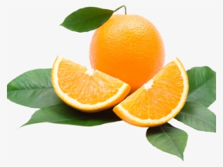 Orange Fruit Clipart Transparent Background - Slimming Oil Pro Lab Sense
