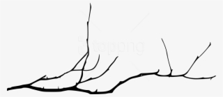 Free Png Simple Tree Branch Png - Simple Tree Branch Drawing