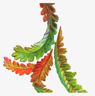 Foliage Clipart Paan - Illustration