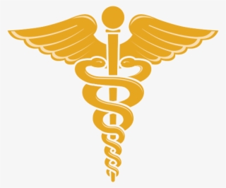 Dr. Aiyesha Sayyed - Doctor - Hospital | LinkedIn