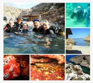 Discover Scuba Diving Retreat - Vacation