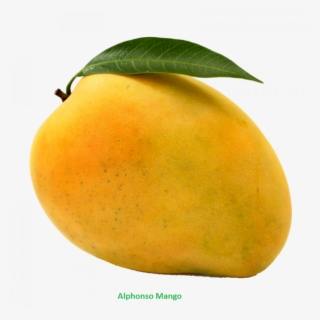 mango clipart png download mango free png photo images - mango png