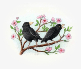 Vivekananda Para Los Chicos - Blackbird