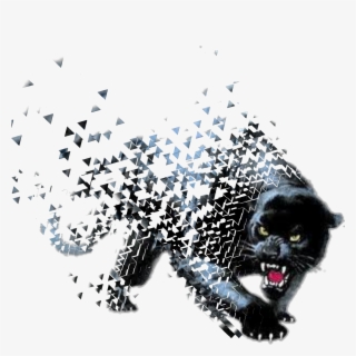 #pantera Negra - Panther Walking