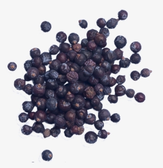 Share This With Someone - Juniper Berry