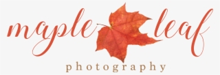 Maple Leaf Photography - Autumn