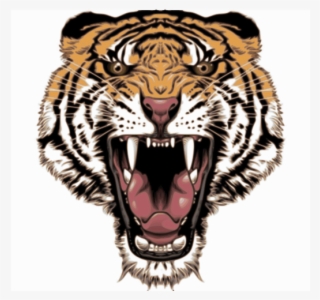 Medium Image - Tiger Face Transparent Background