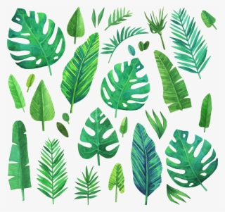 #jungle #jungleleaf #jungleleaves #leaf #leaves #green - Green Plants Watercolor