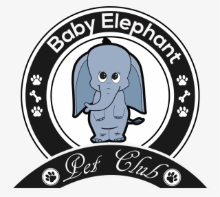 Baby Elephant - Yoga Alliance International India