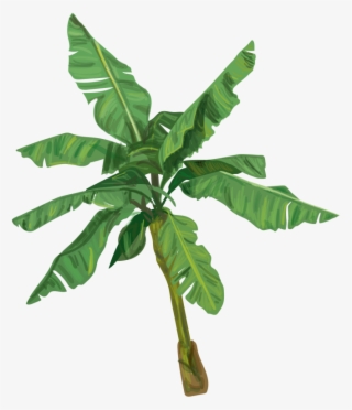 Platanero Png - Toy