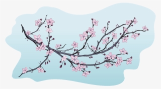 Blossom Illustration Decorative Illustrations Of - Cherry Blossom