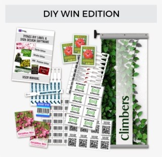 Win - Flyer