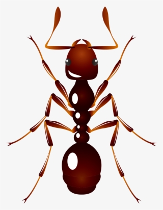 Ant U6606u866b U8682u8681 Insect - Ants Vector Png