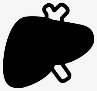 Liver Svg Png Icon Free Download - Icon