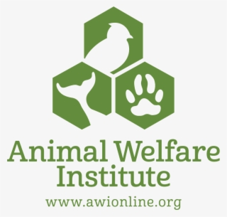 18 Awi Logo Vertical Green - Graphic Design