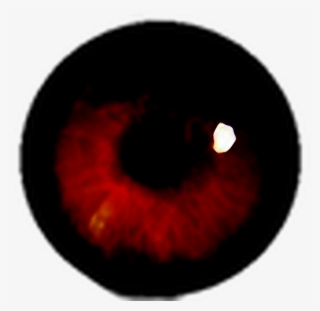 #terror #ojo #sangre #halloween #happyhalloween #stiker - Circle