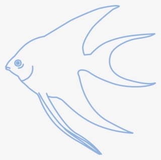 Simple Angelfish Tropical Fish - Simple Angelfish