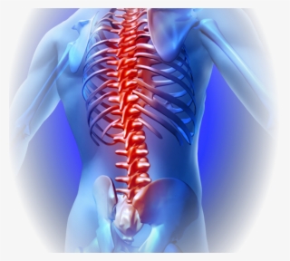 joint pain - back bone pain png
