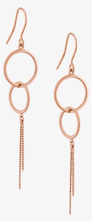 Double Loop Earrings Image - Earrings