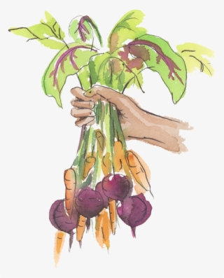 Holding-veggies - Illustration