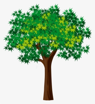 Дерево Клипарт