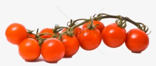 Free Png Tomato Png Image With Transparent Background - Plum Tomato