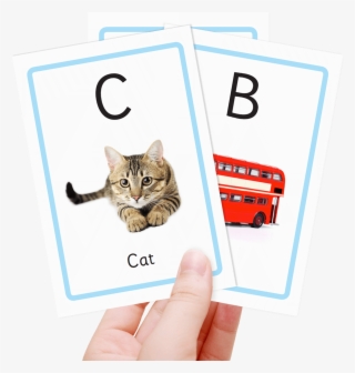 Free Alphabet Flash Cards - Flash Card For Kids Numbers
