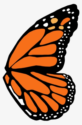 Full Left Monarch Butterfly Wing Template - Monarch Butterfly Wing Template