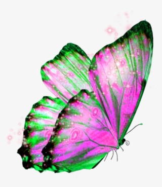 #butterfly #wings #butterflywings #fairy - Transparent Beautiful Background Png