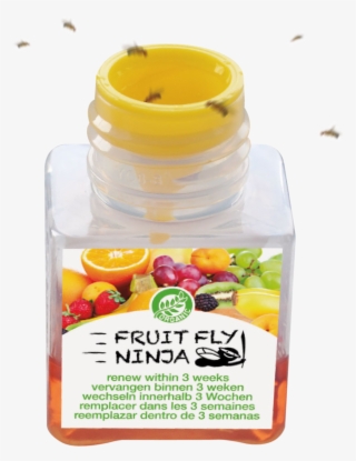 Reviews - Fruit Fly Ninja