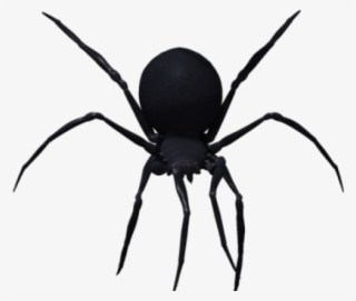 Black Widow Clipart Transparent Background - Black Widow Spider Png