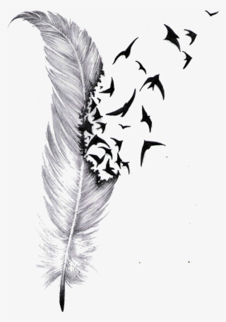 Tattoo Feather Drawing Bird Cover-up Download Hq Png - Tatuagens Klaus