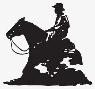 02249 - Stallion