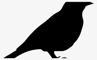 Robin Silhouette At Getdrawings - Silhouette Oiseau À Imprimer