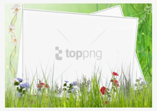 Free Png Spring Border Png Png Image With Transparent - Green Flower Borders And Frames
