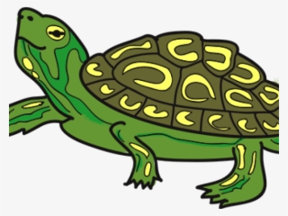 Tortoise Clipart Terrapin - Cartoon