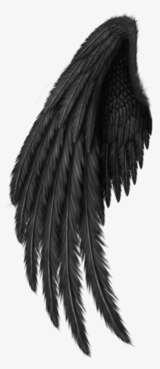 Black Angel Wings Png