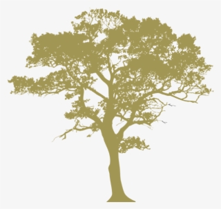 Oak Leaf Png - Tree Silhouette