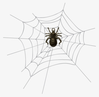 Free Png Download Halloween Spider Web Png Png Images - Transparent Background Halloween Spider Png