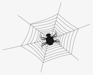 Spiderweb Png - Spider In The Middle Of The Web