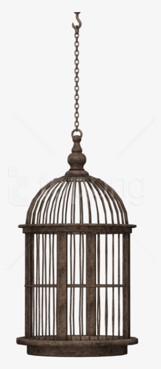 Free Png Download Bird Cage Png Images Background Png - Bird In Cage Png