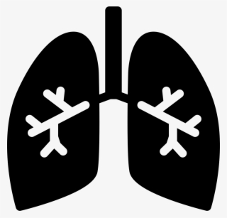 Picture Download Lungs With Svg Png Icon Free Download Bronchi Icon Png Transparent Png 980x942 Free Download On Nicepng