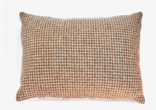 Cushion