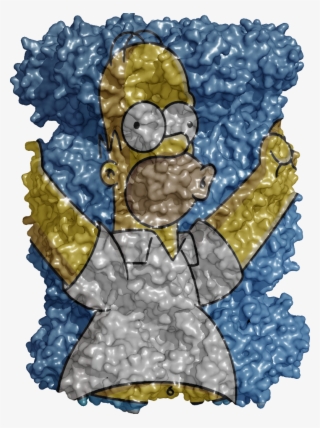 Homer Wraped On A Ray-traced Model Of 20s Proteasome