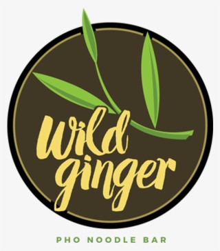 Wild Ginger Noodle Is Located In South Asheville - Wild Ginger Asheville Nc